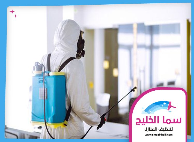 شركة مكافحة حشرات في مردف 4 شركة مكافحة حشرات في مردف