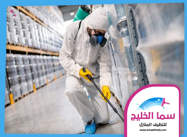 شركة مكافحة حشرات في ام سقيم
