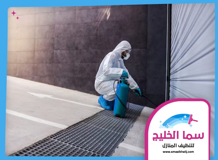شركة مكافحة حشرات في الليسيلي 3 شركة مكافحة حشرات في الليسيلي