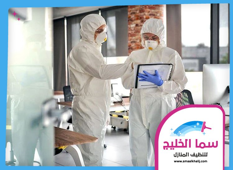 شركة مكافحة حشرات في الليسيلي 5 شركة مكافحة حشرات في الليسيلي