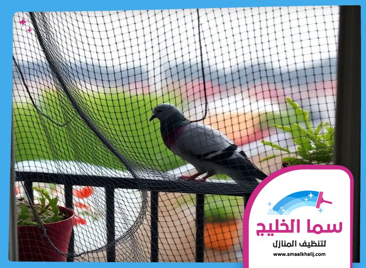 تنظيف خزانات في أم القيوين