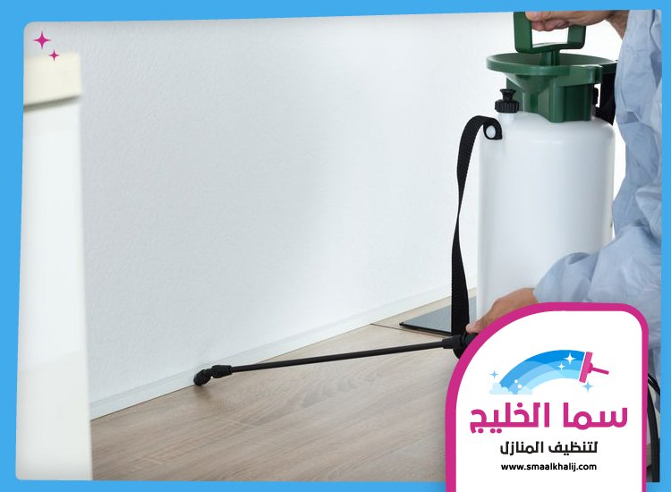 شركة مكافحة حشرات في عجمان 3 شركة مكافحة حشرات في عجمان