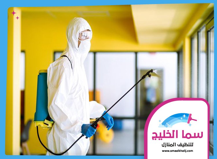 شركة مكافحة حشرات في عجمان 2 شركة مكافحة حشرات في عجمان