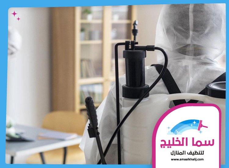 شركة مكافحة حشرات في عجمان 4 شركة مكافحة حشرات في عجمان