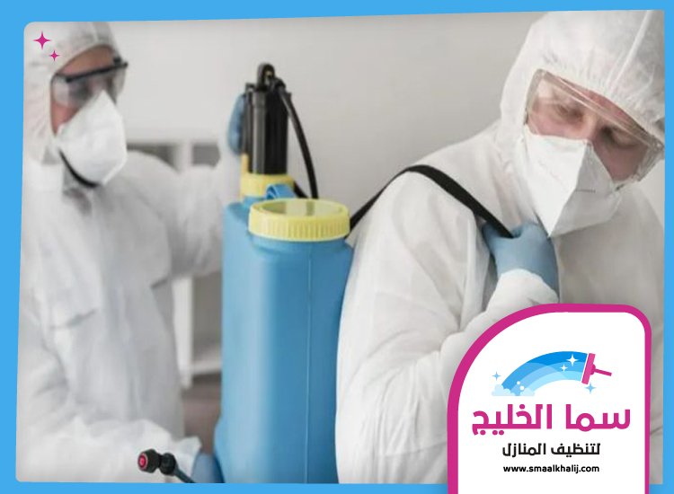 شركة مكافحة حشرات في عجمان 5 شركة مكافحة حشرات في عجمان