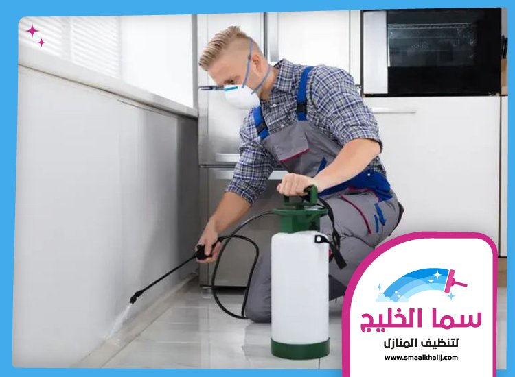شركة مكافحة حشرات في ام القيوين 3 شركة مكافحة حشرات في ام القيوين