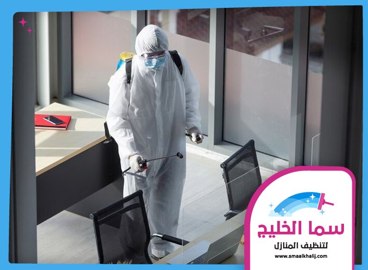 شركة مكافحة حشرات في ام القيوين 4 شركة مكافحة حشرات في ام القيوين