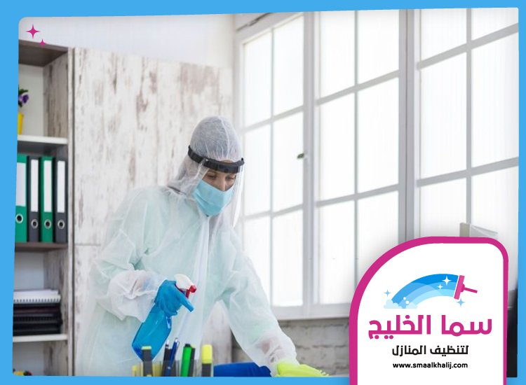 شركة مكافحة حشرات في ام القيوين 5 شركة مكافحة حشرات في ام القيوين