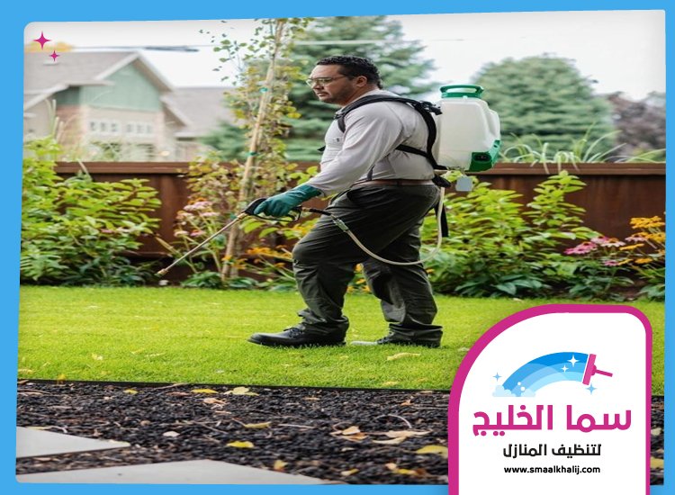 شركة مكافحة حشرات في الفجيرة 3 شركة مكافحة حشرات في الفجيرة