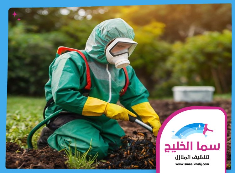 شركة مكافحة حشرات في الفجيرة 4 شركة مكافحة حشرات في الفجيرة