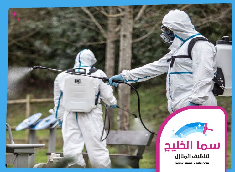 شركة مكافحة حشرات في الفجيرة 5 شركة مكافحة حشرات في الفجيرة
