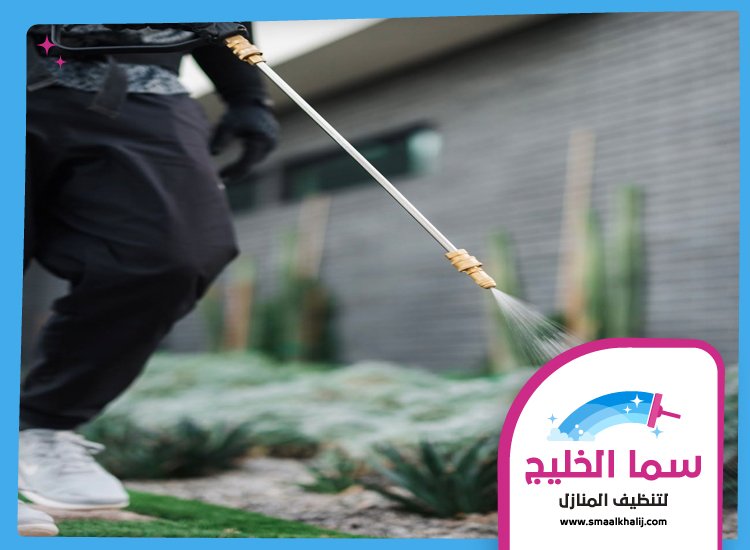 شركة مكافحة حشرات في ند الشبا 3 شركة مكافحة حشرات في ند الشبا