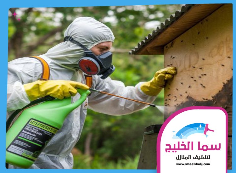 شركة مكافحة حشرات في رأس الخور 4 شركة مكافحة حشرات في رأس الخور
