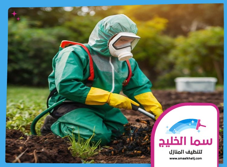 شركة مكافحة حشرات في رأس الخور 3 شركة مكافحة حشرات في رأس الخور