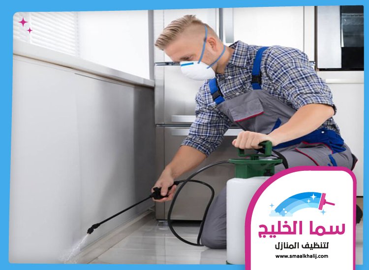 شركة مكافحة حشرات في العوير 3 شركة مكافحة حشرات في العوير