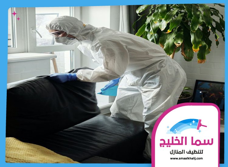 شركة مكافحة حشرات في العوير 5 شركة مكافحة حشرات في العوير