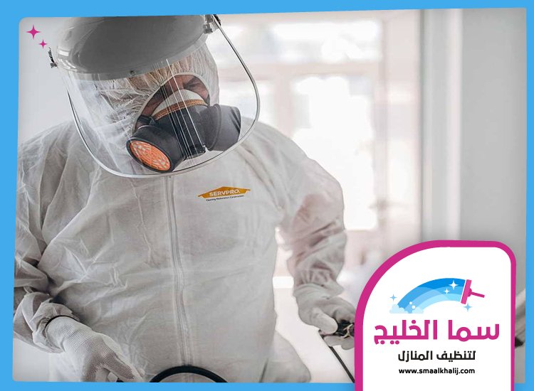 شركة مكافحة حشرات في السطوة 3 شركة مكافحة حشرات في السطوة