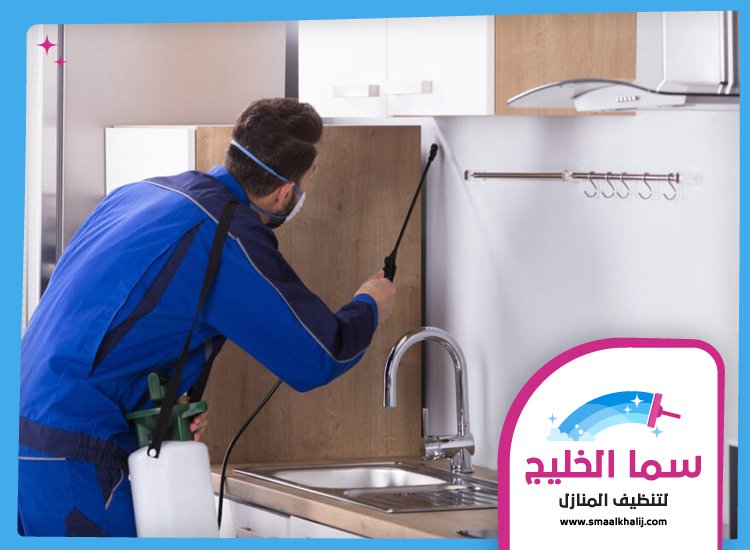 شركة مكافحة حشرات في ابو هيل 4 شركة مكافحة حشرات في ابو هيل