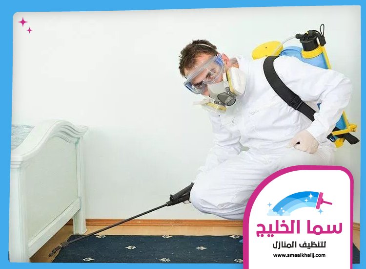 شركة مكافحة حشرات في ابو هيل