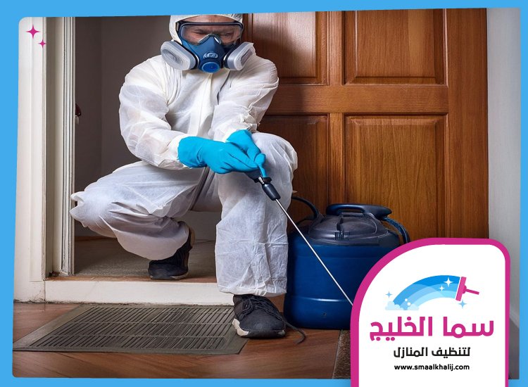 شركة مكافحة حشرات في السطوة 4 شركة مكافحة حشرات في السطوة