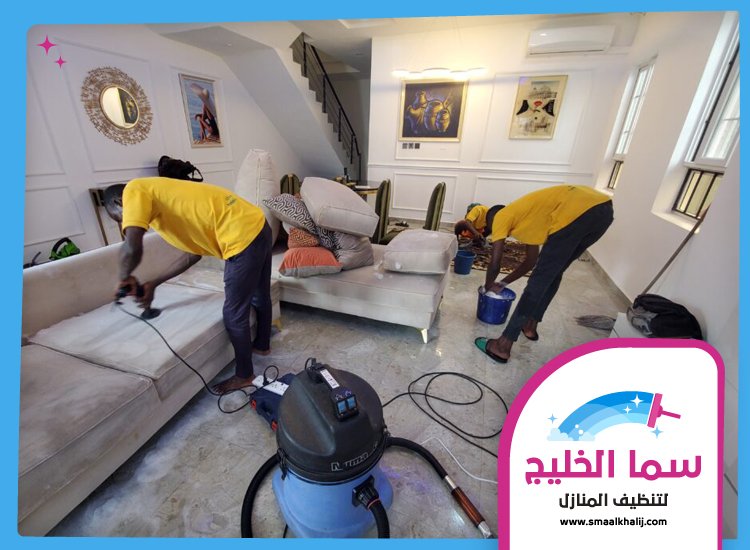 شركة تنظيف في البحيرات 2 شركة تنظيف في البحيرات